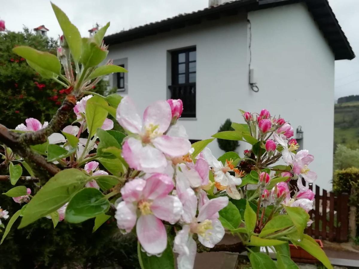 El Oteru I Villaviciosa (Asturias) Exterior foto
