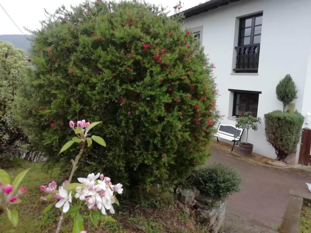 El Oteru I Villaviciosa (Asturias) Exterior foto