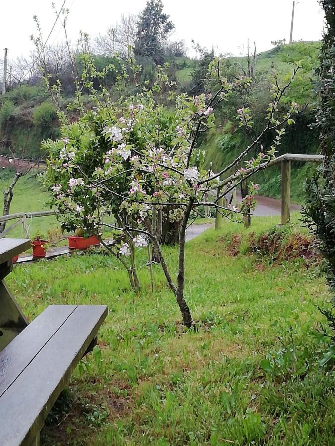 El Oteru I Villaviciosa (Asturias) Exterior foto